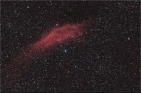 californianebel