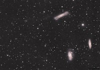 leo triplett