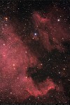 ngc7000