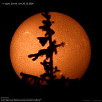 sun_20091220